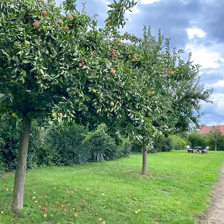 Tatil Evi Wiesengefluester S5 Gruppenhaus Haustierfrei Mit Aussicht, Wiese Und Mueritznaehe *