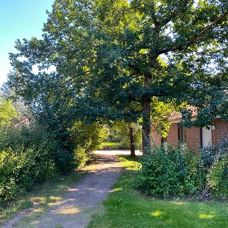Wiesengefluester S5 Gruppenhaus Haustierfrei Mit Aussicht, Wiese Und Mueritznaehe Ferienhaus