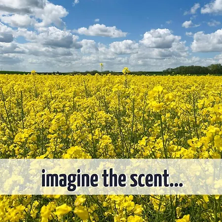 Wiesengefluester S5 Gruppenhaus Haustierfrei Mit Aussicht, Wiese Und Mueritznaehe *