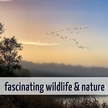 Wiesengefluester S5 Gruppenhaus Haustierfrei Mit Aussicht, Wiese Und Mueritznaehe