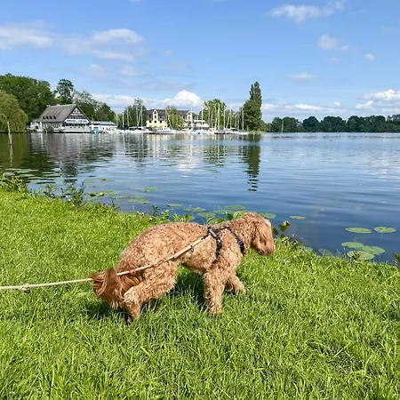 Casa vacanze Wiesengefluester S5 Gruppenhaus Haustierfrei Mit Aussicht, Wiese Und Mueritznaehe *